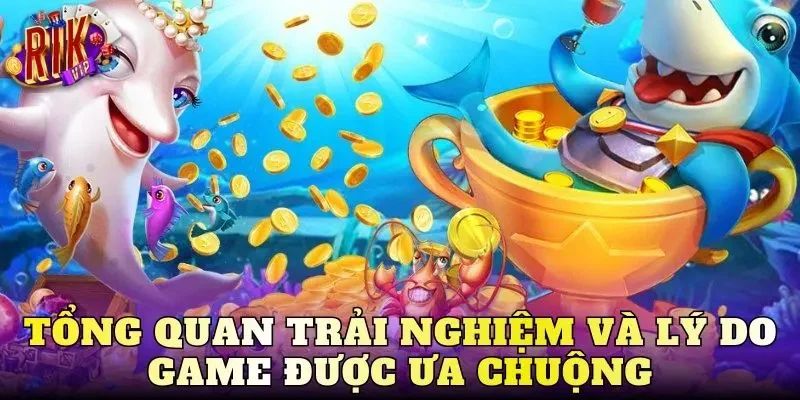 Tổng quan trải nghiệm và lý do game được ưa chuộng